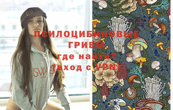 стафф Нея